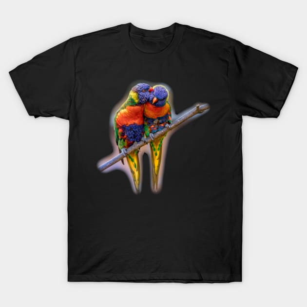 Kissing Parrots T-Shirt by julyperson